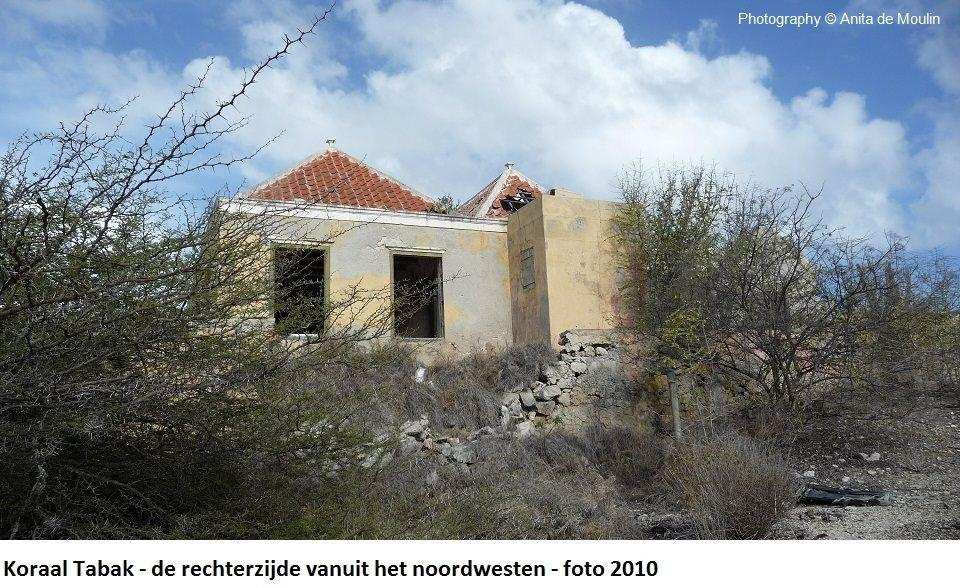 19. Koraal Tabak rechterzijde vanuit het noordwesten 2010